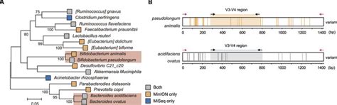 mega655 | Kt qu x s Power 655 Minh