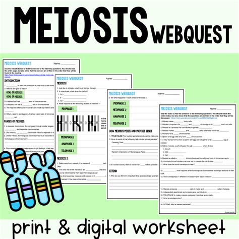 Meiosis Webquest Laney Lee Amoeba Sisters Meiosis Worksheet Answers - Amoeba Sisters Meiosis Worksheet Answers