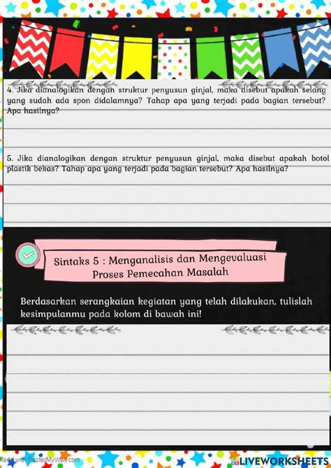 MEKANISME PEMBENTUKAN URINE - 4 Proses pembentukan urine manusia dan mengenal sistem kemih