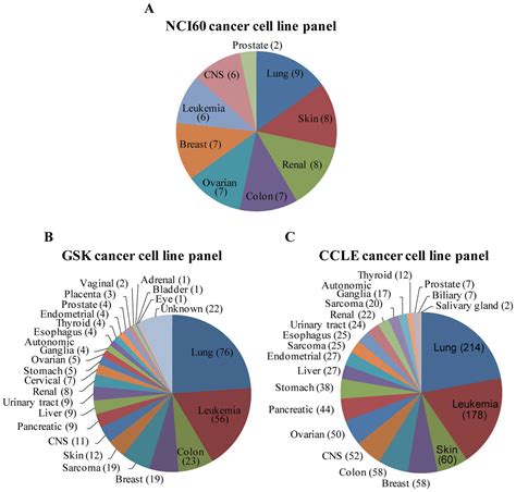 melanoma cell lines