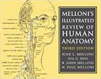 melloni illustrated review of human anatomy pdf