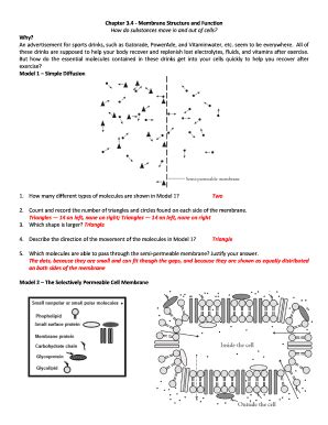 Download Membrane Structure And Function Packet Pogil 