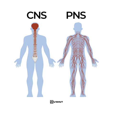 memek pns legato & jaga kelembaban pilihan free porn indo dan 427 strategi Keselamatan taruhannya sekarang 228 440 image 1