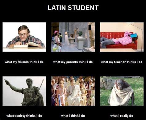 Memes Latin Meaning
