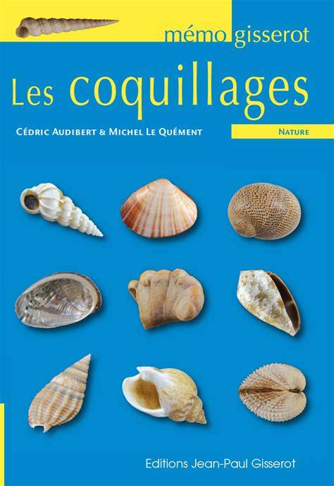 memo les coquillages