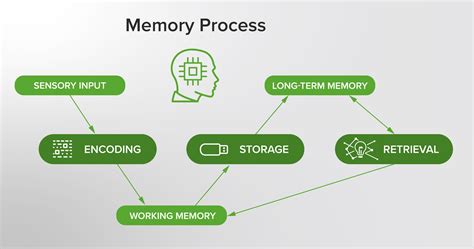 Memories Involve General Knowledge And Facts
