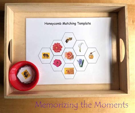 Memorizing The Moments Tot School Hexagon Activities Hexagon Craft For Preschoolers - Hexagon Craft For Preschoolers