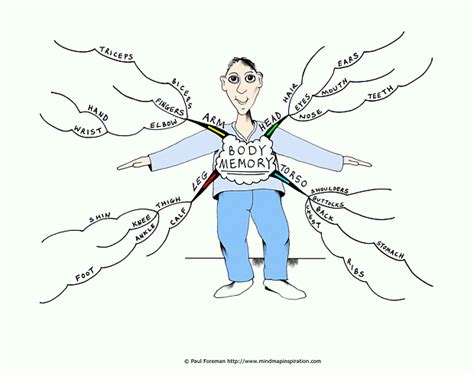 Memory Mind And Body