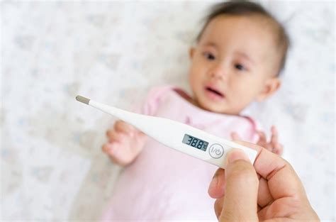 Menangani Bayi Baru Lahir Demam Dengan Tepat Cara Mengatasi Hidung Tersumbat Pada Bayi Baru Lahir - Cara Mengatasi Hidung Tersumbat Pada Bayi Baru Lahir