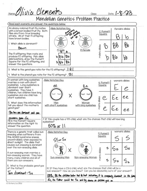 Mendelian Genetics Practice Problems Answer Key