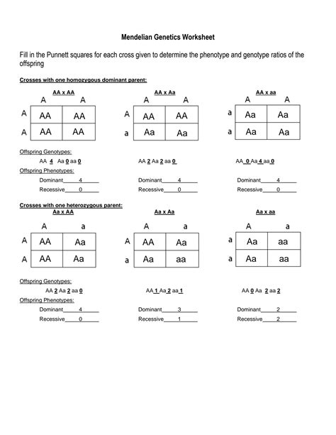 mendelian genetics practice worksheet