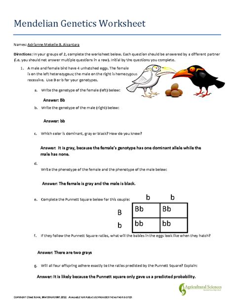 Mendelian Genetics Worksheet 2 Answer Key
