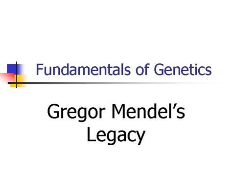 Mendels Legacy For Section 9 2 Review Genetic Mendel Worksheet Answers - Mendel Worksheet Answers