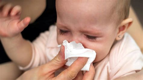 Mengatasi Hidung Tersumbat Pada Bayi Baru Lahir Cara Mengatasi Hidung Tersumbat Bayi 2 Bulan - Cara Mengatasi Hidung Tersumbat Bayi 2 Bulan