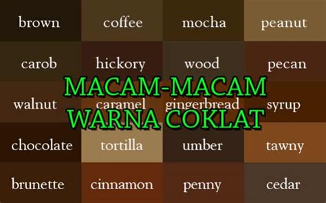 Mengenal Macam Macam Warna Coklat Dan Kode Warnanya Coklat Khaki Warna - Coklat Khaki Warna