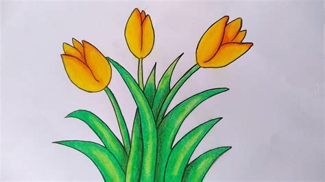 menggambar bunga tulip
