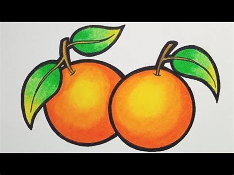 Menggambar Jeruk Cara Menggambar Jeruk Gradasi Warna Sketsa Buah Jeruk - Sketsa Buah Jeruk