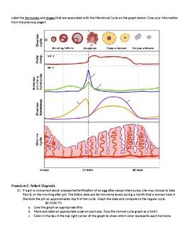 Menstrual Cycle Lab