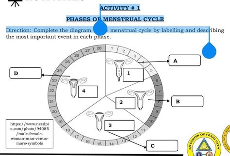 Read Menstrual Graphing Lab Activity Answer 