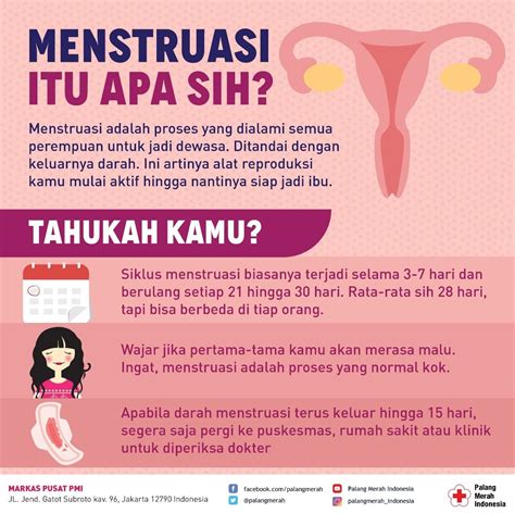 menstruasi adalah