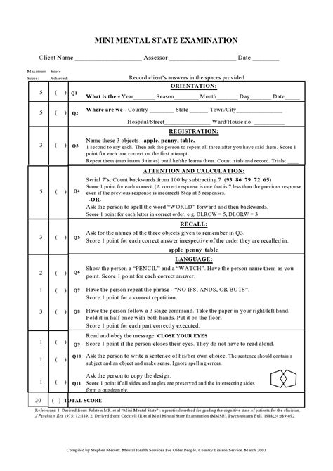 Mental State Assessment Example