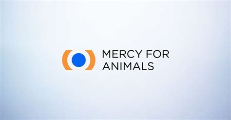 Mercy For Animals
