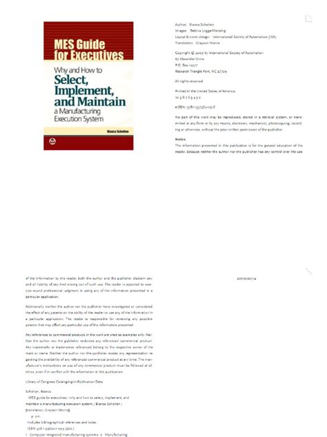 mes guide for executives