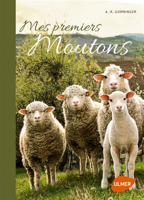 mes premiers moutons
