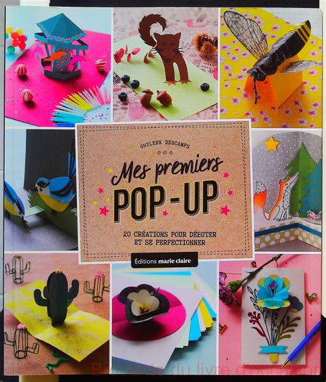 mes premiers pop up 20 cra c ations pour da c but