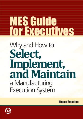 Full Download Mes Guide For Executives 