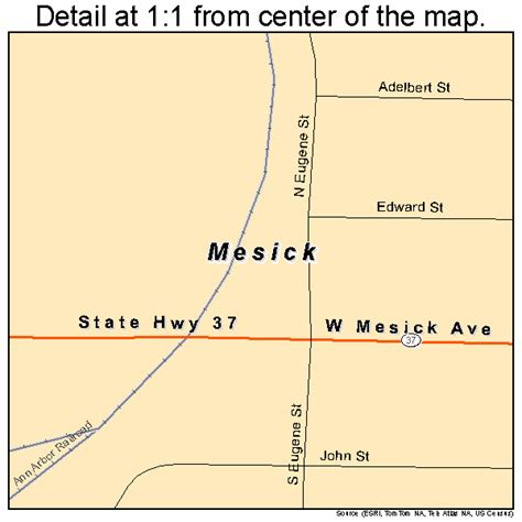 mesick michigan