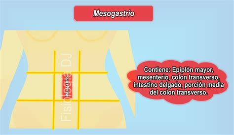mesogastrio - flamengo vs botafogo