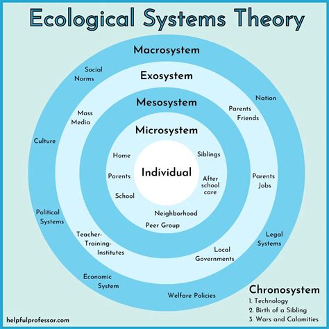 Image related to mesosystem