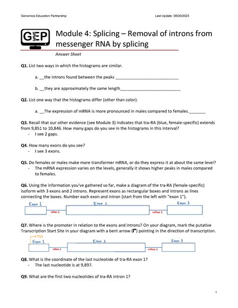 messenger rna answer key