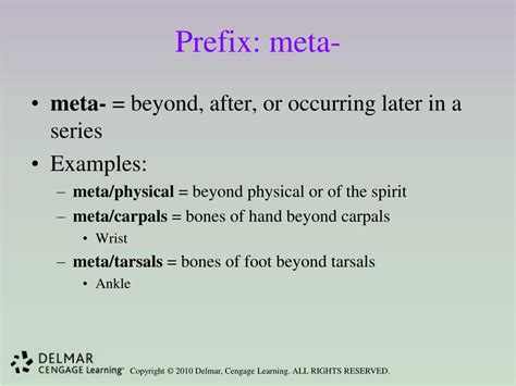 Meta Prefix