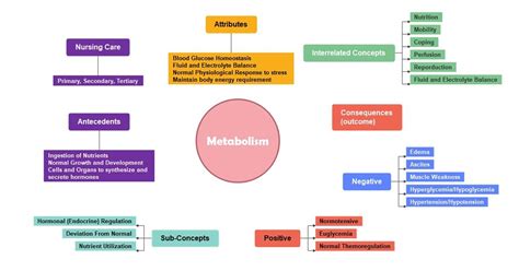 Metabolism Concept Map