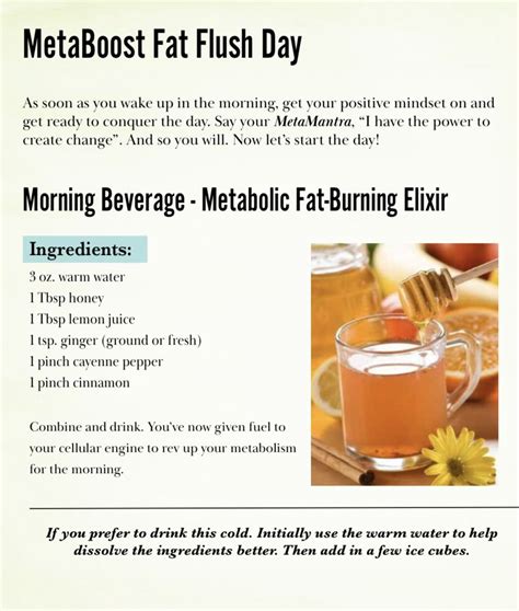 Metaboost Fat Flush