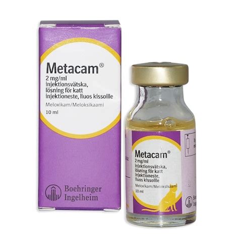 metacam katt diarré