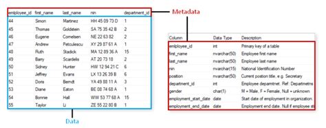 Metadata In Dbms