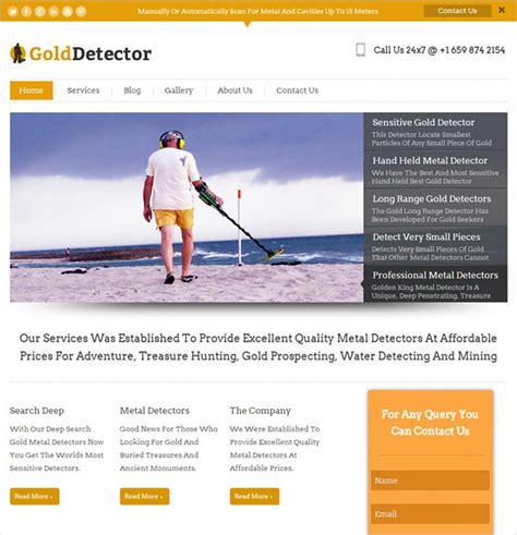 Metal Detector Wordpress