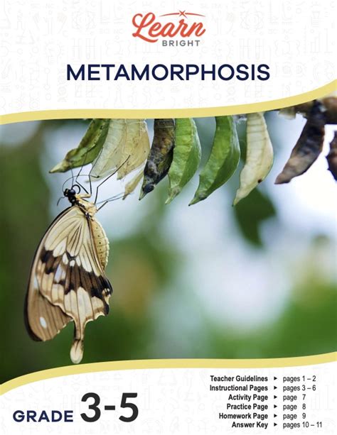 Metamorphosis Free Pdf Download Learn Bright Complete And Incomplete Metamorphosis Worksheet - Complete And Incomplete Metamorphosis Worksheet