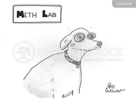 meth lab dog dating toon