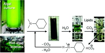 Read Methane Production From Lipid Extracted Algal Residues 