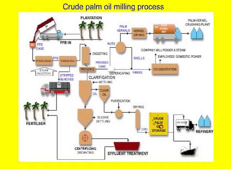 Methods Of Palm Oil Processing In Ogun State Nigeria A