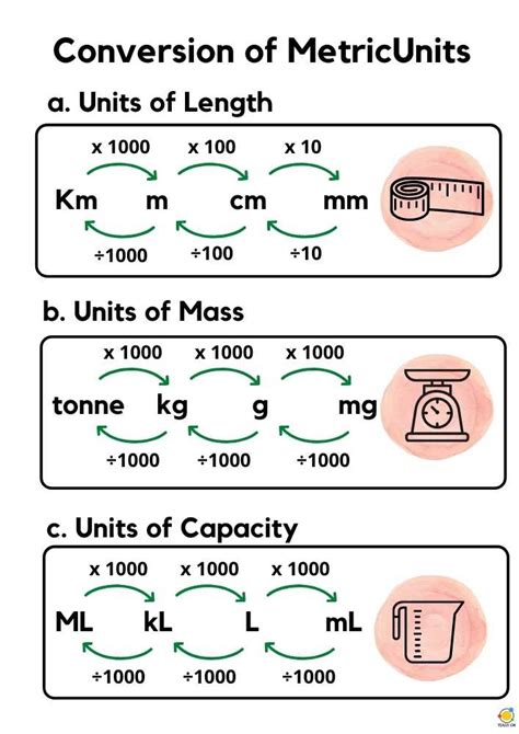Metric Units Of Mass Review G And Kg Grade Measurement - Grade Measurement