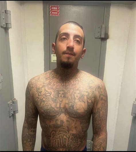 Mexico  Member Of Gang In Us Agent Slaying Caught - Semar Toto