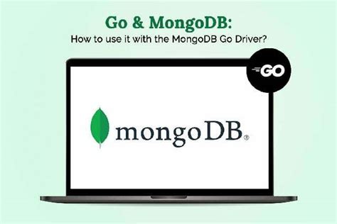 mgo vs mongodb go driver