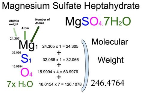 Mgso4 Molecular Weight