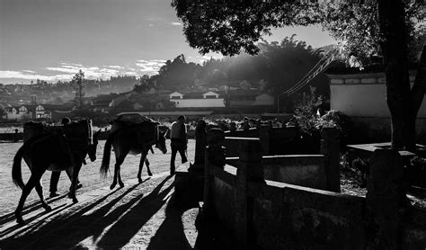 michael freeman photography