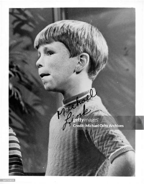 michael link actor from julia